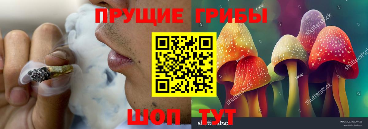Галлюциногенные грибы Cubensis  сколько стоит  Псилоцибиновые грибы прущие грибы  Луховицы  Вход с VPN 